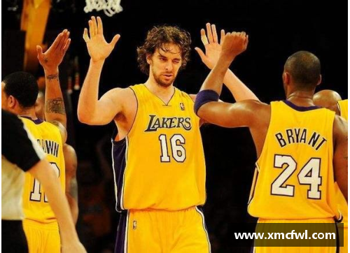 湖人队NBA总冠军：传奇历程与荣耀巅峰
