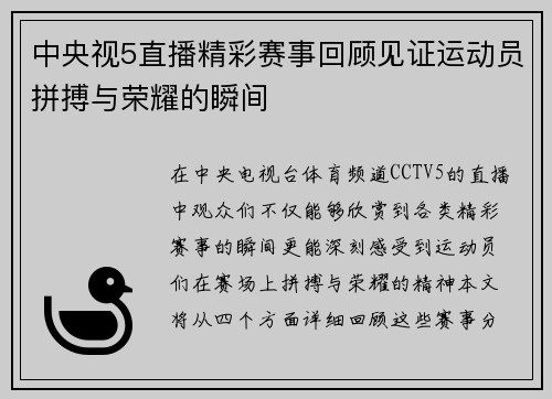 中央视5直播精彩赛事回顾见证运动员拼搏与荣耀的瞬间